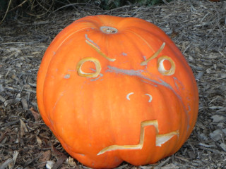 Grinch, Nipomo Pumpkin Patch best carving idea